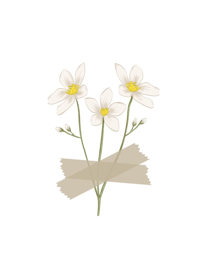 design your flyer and minimalist flower logo