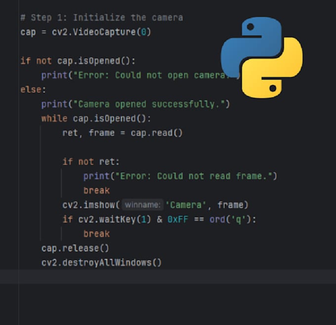 do python programming developer