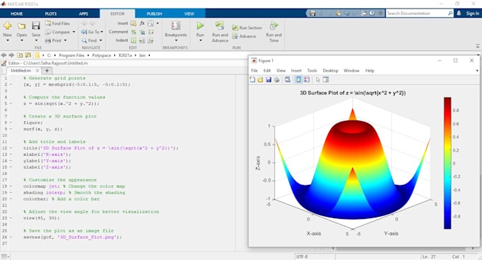 Assist with image and signal processing using python, matlab simulink ...