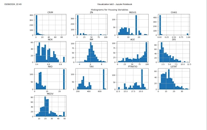 do data cleaning, data science projects in jupyter notebook