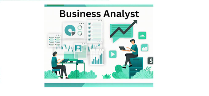 provide business analyst services