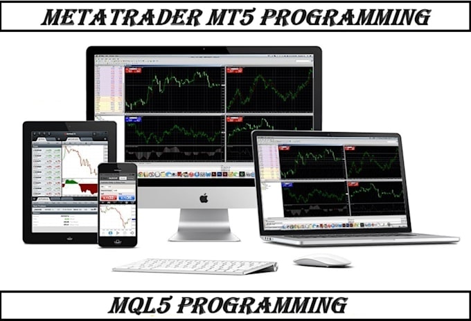 program mt5 ea, mt4 expert advisor, indicator in mql5 and mql4