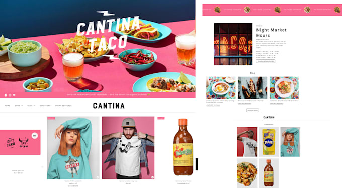 redesign shopify website for your luxury brand