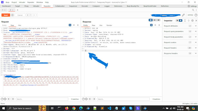 do advance penetration testing, security audits, and scanning