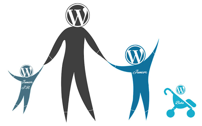 fix bugs on wordpress website
