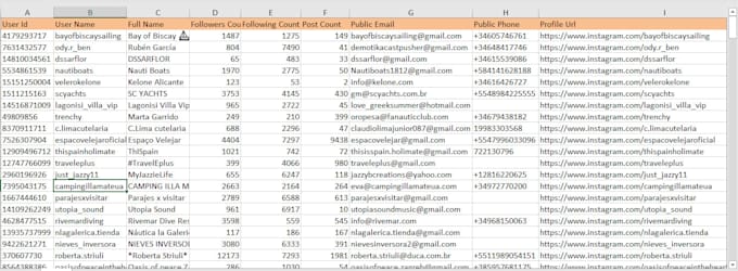 do followers and followings data extraction from instaa
