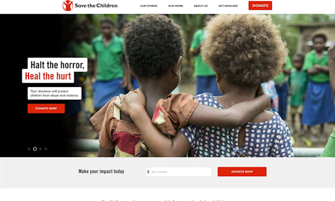 nonprofit, charity, ngo, 501c3, donation, non profit website on wordpress, wix