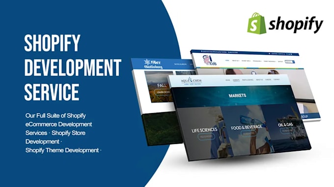 build shopify ecommerce websites and drop shipping stores