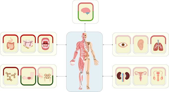 draw graphical abstracts and article illustrations
