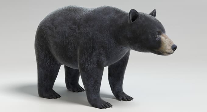 3d animal model, animal animation, 3d fur, 3d animal rigging
