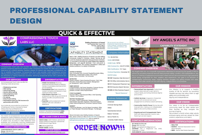 design government capability statement, business capability statement