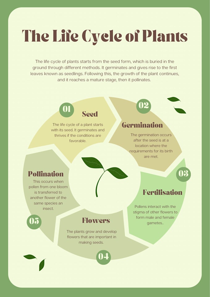 create infographic design with stunning and concise visual