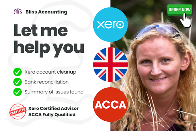 help busy accountants with their bookkeeping