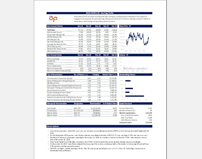 build an investor ready dcf and valuation model