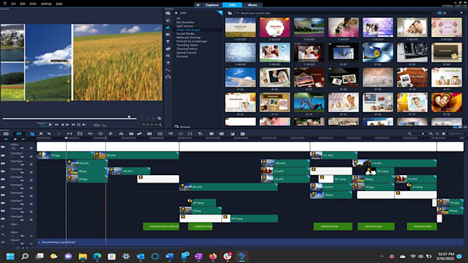 assist in video editing, cartoon creation, and video advert
