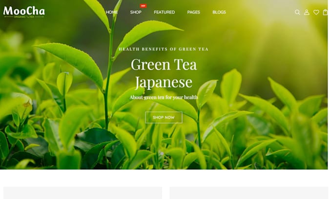 design matcha shopify store matcha coffee website   matcha dropshipping