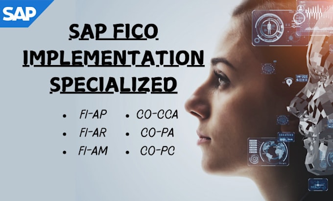 provide sap fico related work implementation process