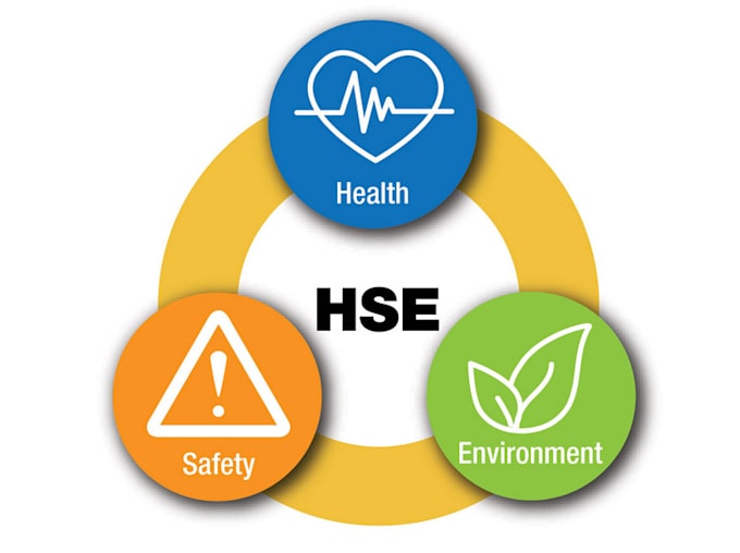 write essay, reports on environmenal health, safety, sustainability, assignment