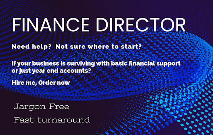 act as your strategic cfo or fractional finance director