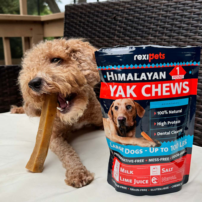create dog product ugc video content