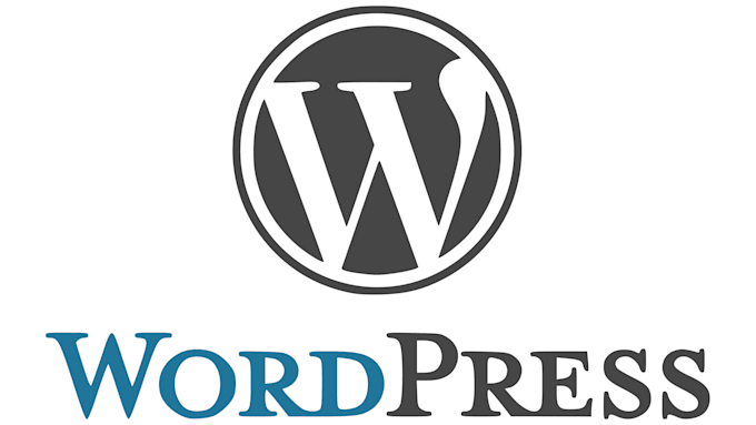 professional wordpress development and customization