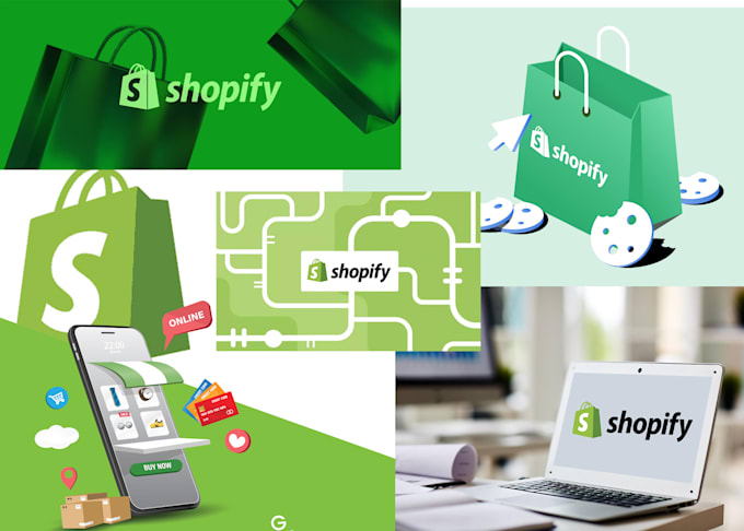 build a professional shopify, drop shipping ecommerce store