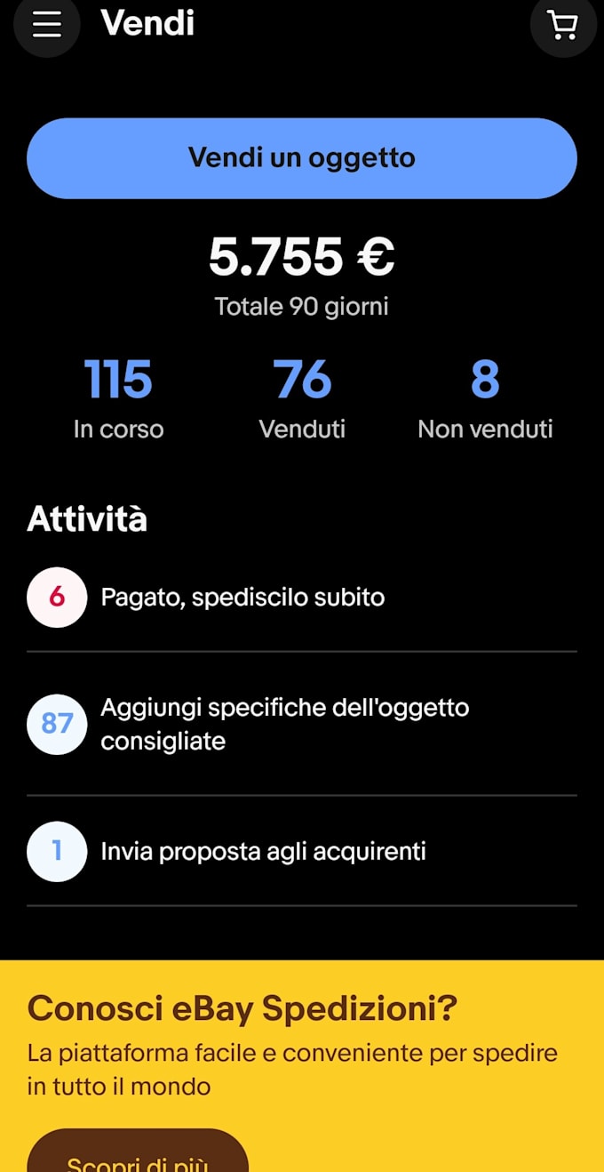 consulenza e marketing ebay