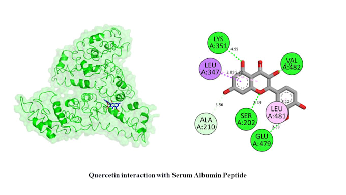 Perform molecular docking and simulation by Hammadmunir003 | Fiverr