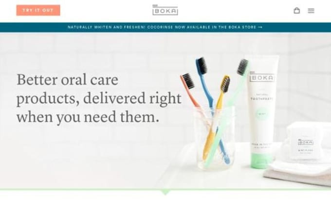 design profitable toothbrush shopify dental accessories store brush website