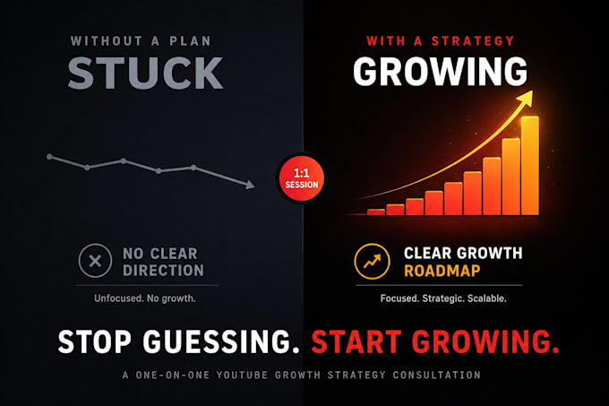 provide a one on one youtube growth strategy consultation