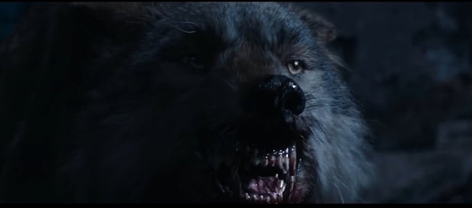 3d animal animation, cgi animal animation,3d animal model,vfx animal compositing