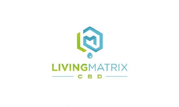 create stunning modern luxury minimalist logo for your brand