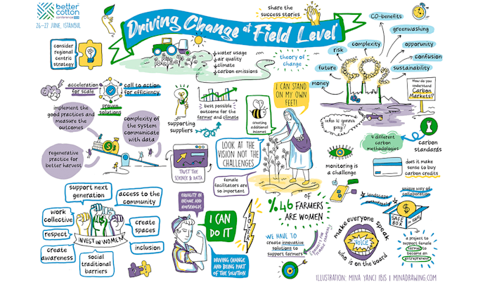 create custom hand drawn infographics that tell a story