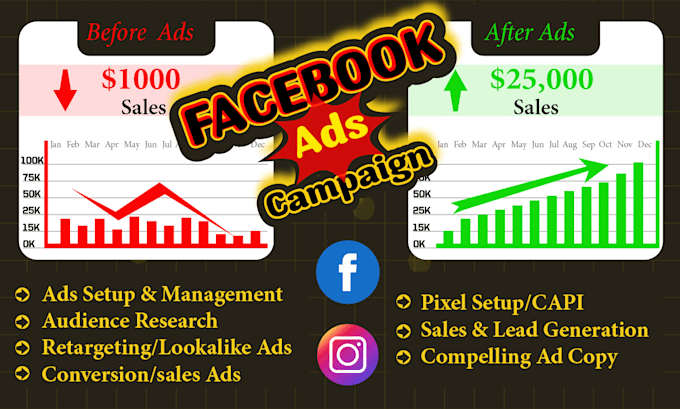 setup facebook and instagram ads campaign, and manager,
