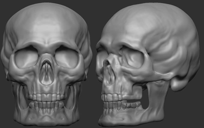 sculpt your 3d character, creature or human