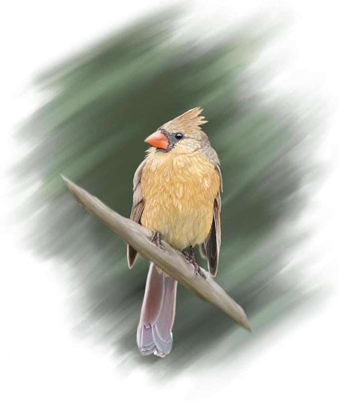 dibujos de animales a lápiz o digital