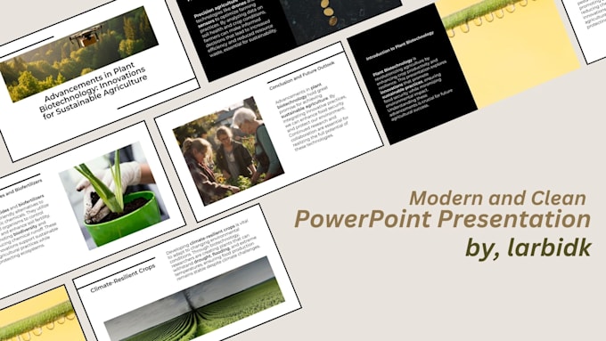 provide professional powerpoint presentations and pitch decks