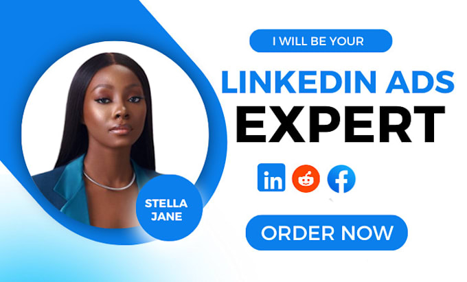 Setup and manage linkedin ads campaign, social media marketing by ...