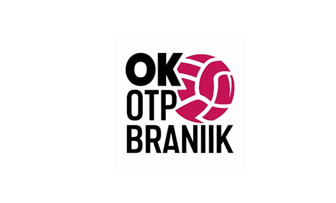 design significant volleyball logo