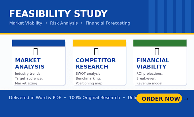 write market research, feasibility study and professional business plan