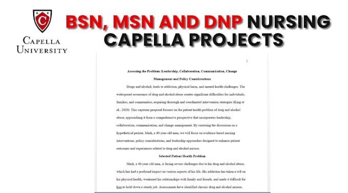 do bsn, msn, and dnp capella nursing courses