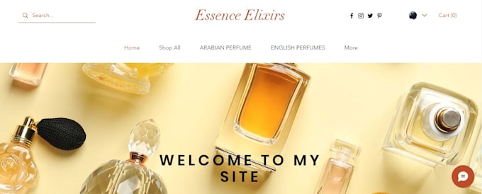 build custom HTML and wix websites for your business