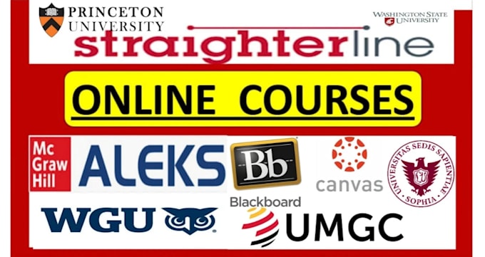 help in online lesson, course and class tutoring
