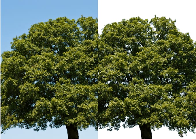 remove the background of images