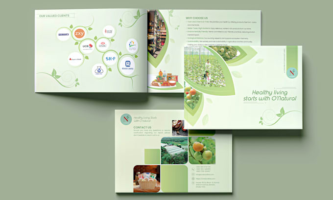 design a professional brochure or product catalog