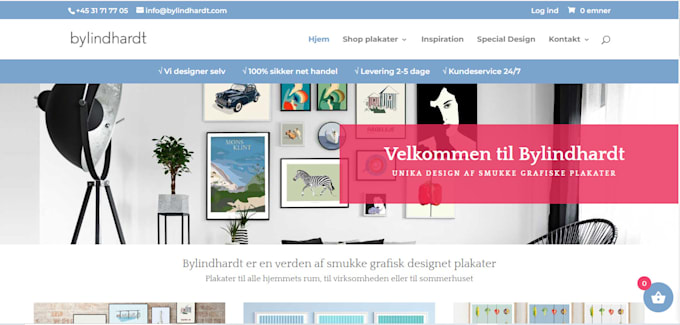 shopify pod store, shopify website design, shopify website redesign store