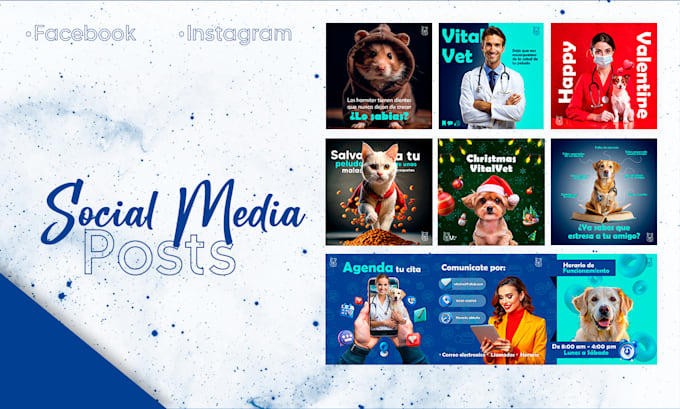 diseñaré tus publicaciones para redes sociales