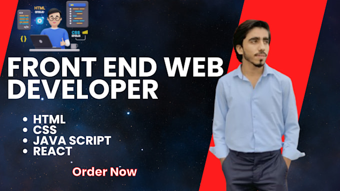 professional frontend web developer