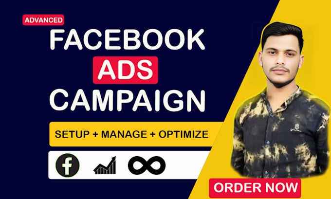 setup and manage facebook ads campaigns manager