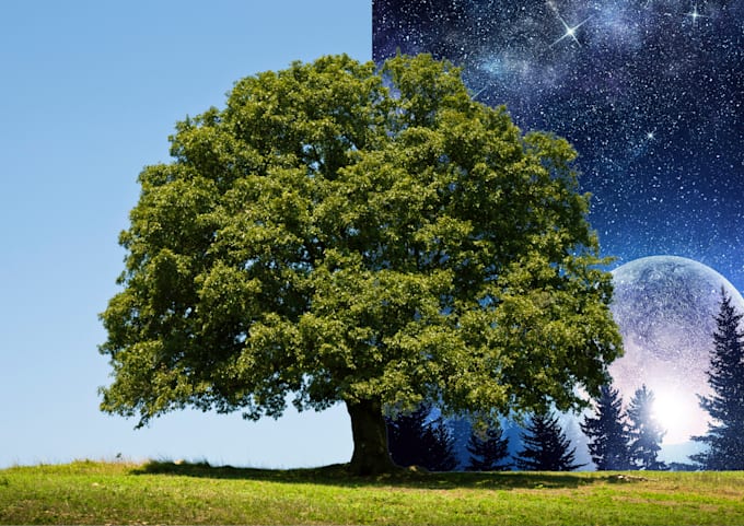 change the background of images